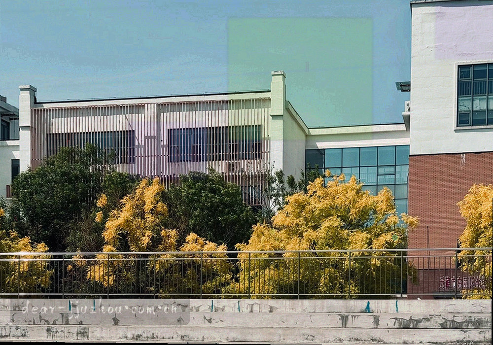 贴着手写版本号标签的档案盒与旧版纸质说明书特写